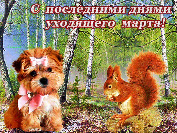 Гифка с последними днями уходящего Марта.