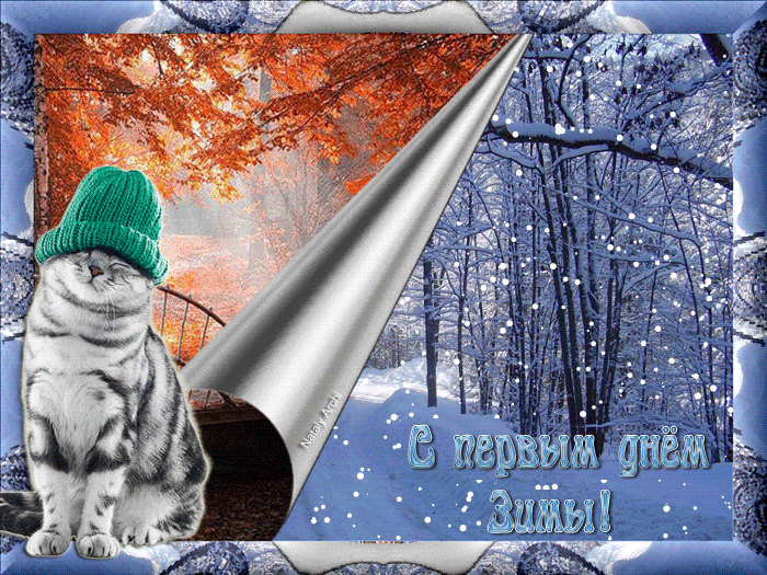 Гифка с первым днём зимы