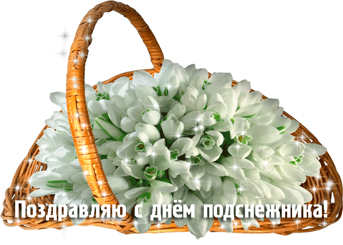 Гифка подснежники в корзинке на прозрачном фоне.