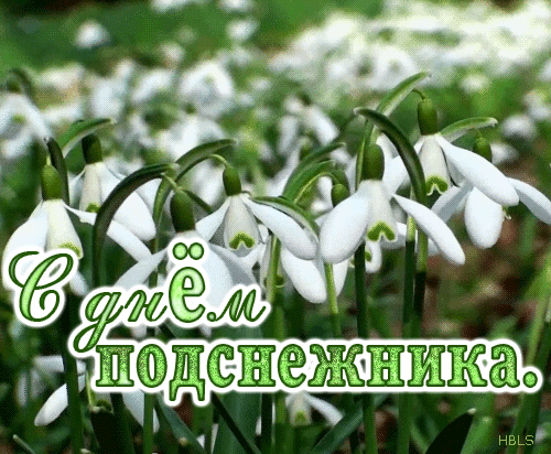 Весенняя анимация с днём подснежника.