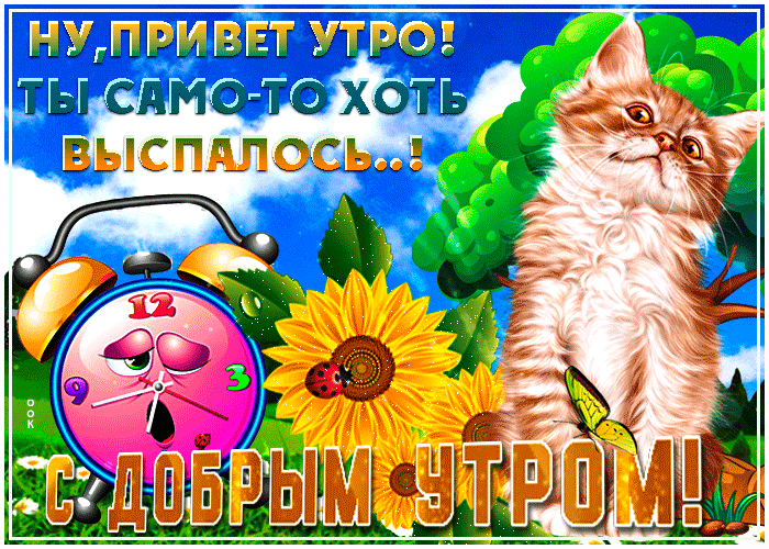 Доброе утро и хорошего дня красивые открытки
