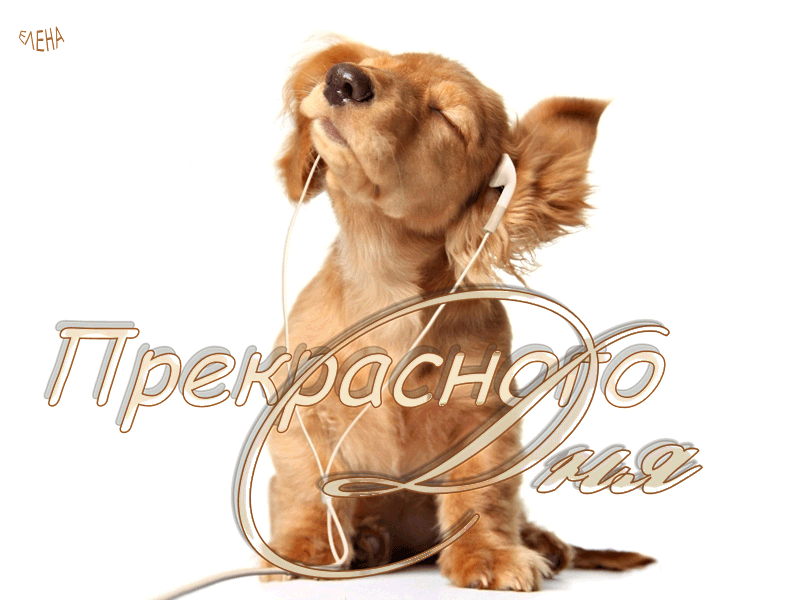 Гифка Прекрасного дня! Гифка Прекрасного дня!
