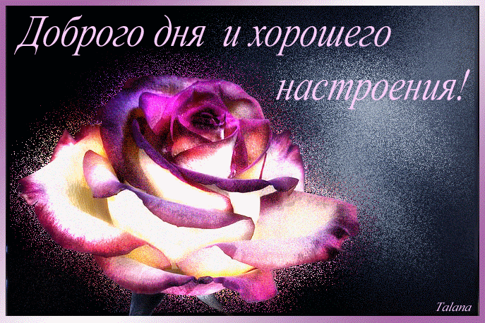 Гифка каждый день прекрасен! Гифка каждый день прекрасен!