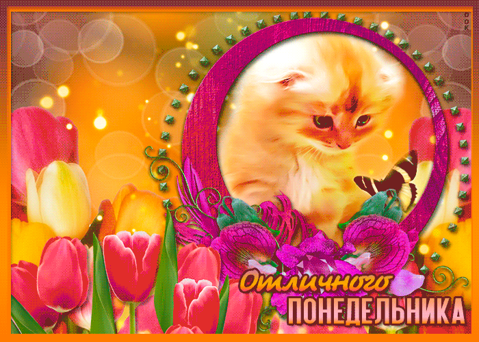 Весенняя Анимация Удачной вам рабочей недели! С понедельником с тюльпанами.