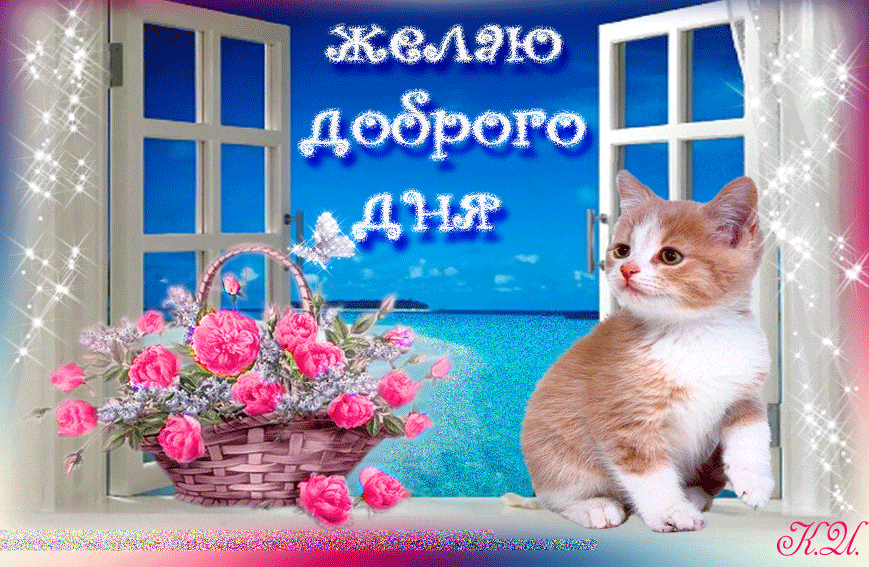 Гифка доброго дня