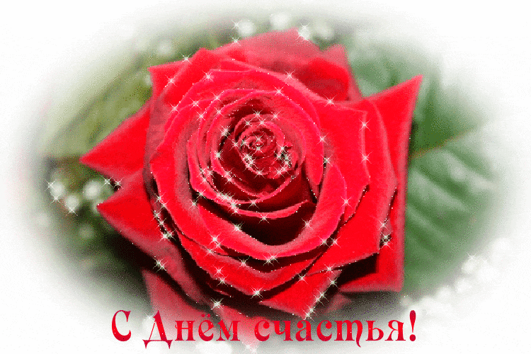 Мерцающая gif Картинка с днём счастья с красной розой.