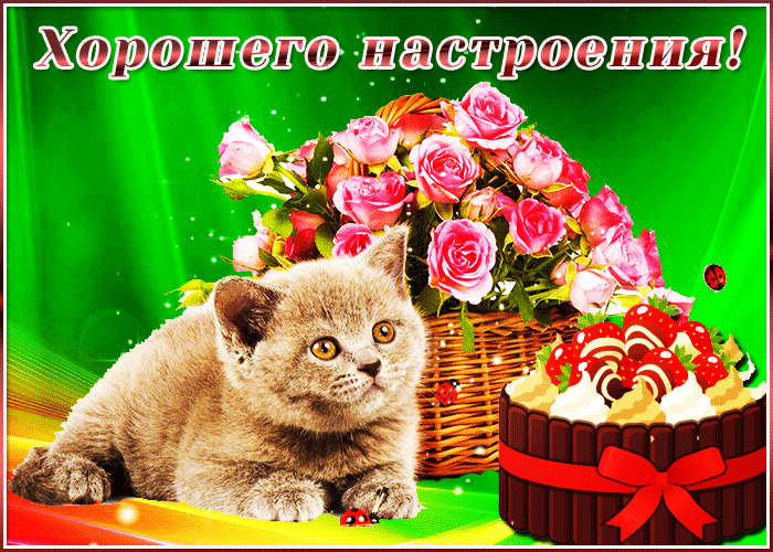 Пожелания хорошего дня и прекрасного настроения Пожелания хорошего дня и прекрасного настроения