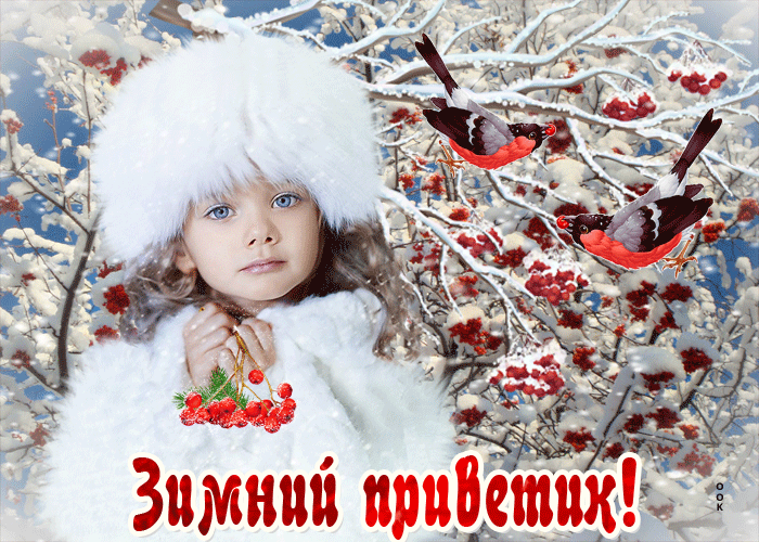 Gif открытка Зимний привет!