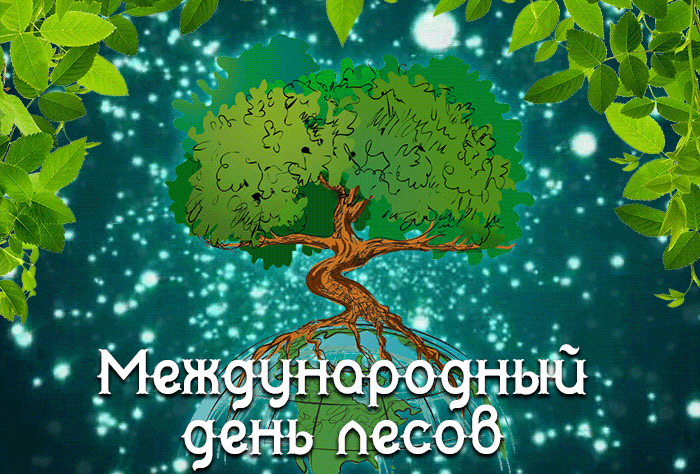 Гифки с международным днём лесов 21 марта