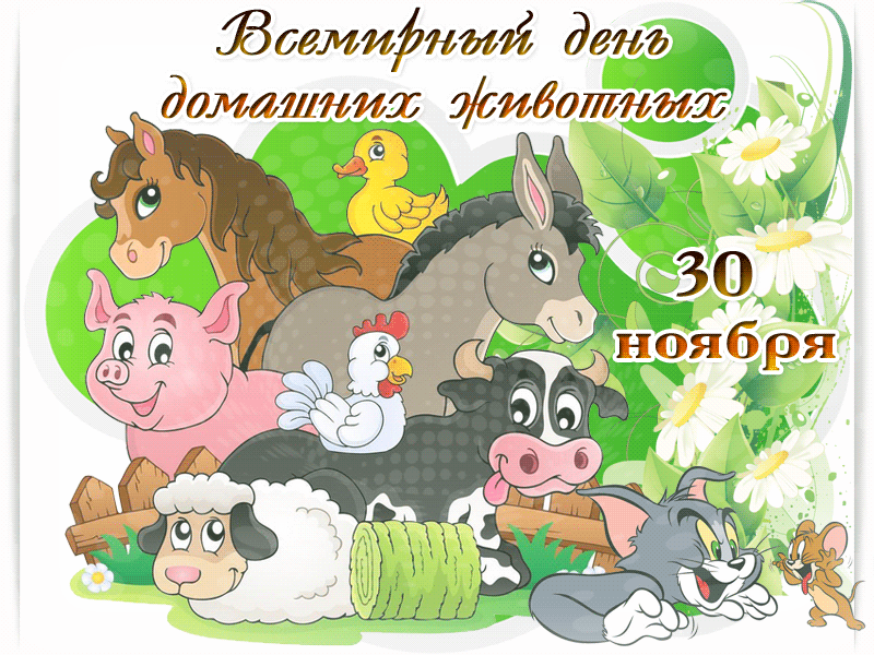 Анимация, Гифка с днём домашних животных Анимация, Гифка с днём домашних животных