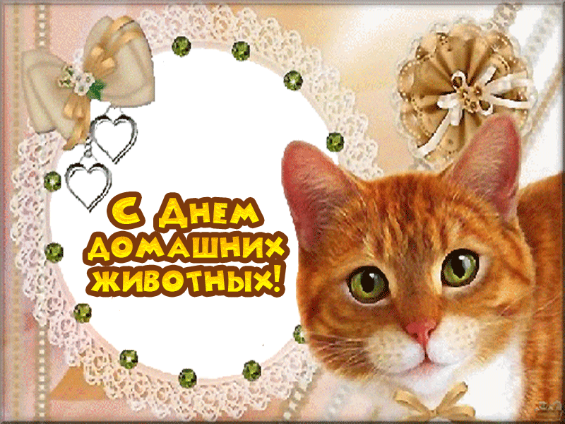 Картинка gif Гифка Всемирный день животных Картинка gif Гифка Всемирный день животных