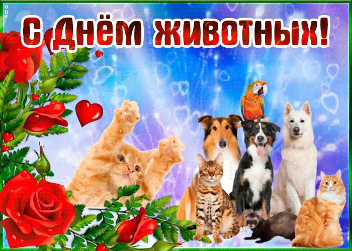 Открытка Гиф с днём животных 30 Ноября