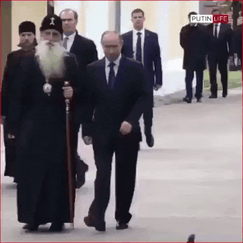 Смешная гифка голубь отдает честь Путину