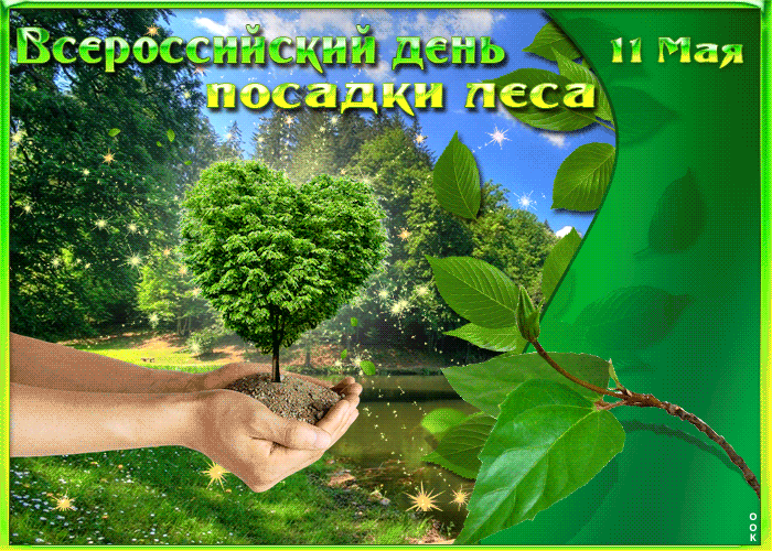Красивая Гифка Всероссийский день посадки леса 11 мая. Гифки Всероссийский день посадки леса (10 gif картинок)