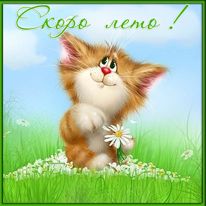 Гифка Скоро Лето Гифка Скоро Лето