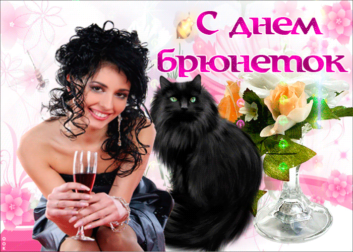 Смешная Анимация с днём брюнеток с чёрной кошкой.