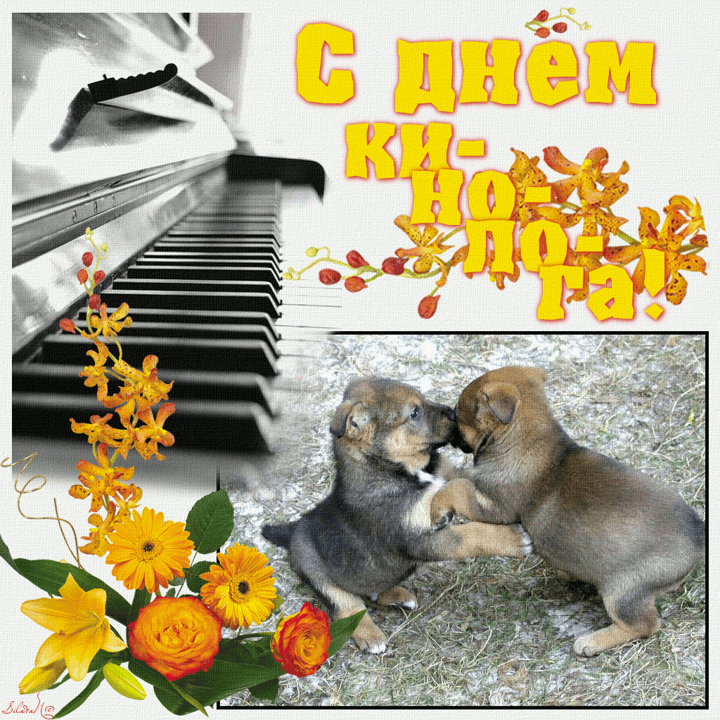 Прикольная музыкальная gif картинка с днём кинолога.