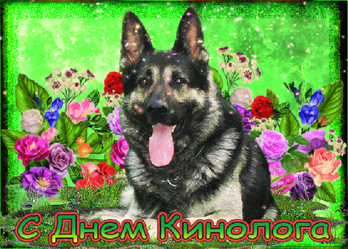 Мерцающая летняя gif картинка с днём кинолога, с овчаркой в цветах.