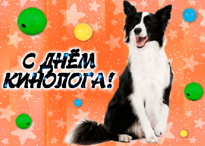 Праздничная гиф картинка с днём кинолога.