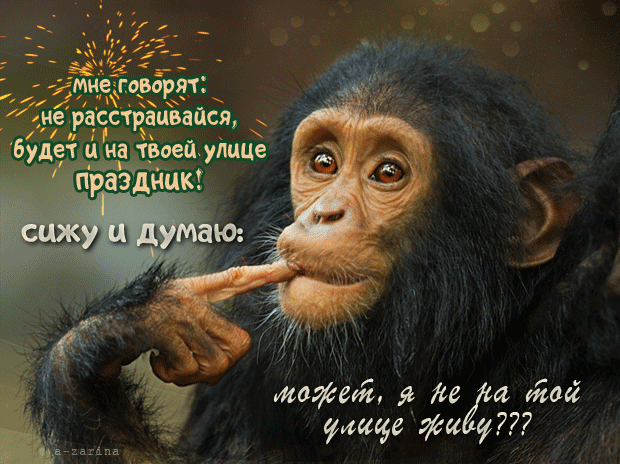 Ржачная гифка со смыслом про жизнь