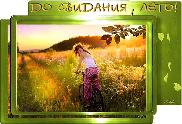 Гифка до свидания Лето