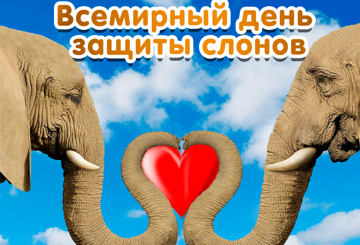 Красивая гифка с всемирным днём защиты слонов