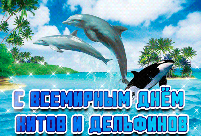 Прикольная гифка с всемирным днём китов и дельфинов. Прикольная гифка с всемирным днём китов и дельфинов.