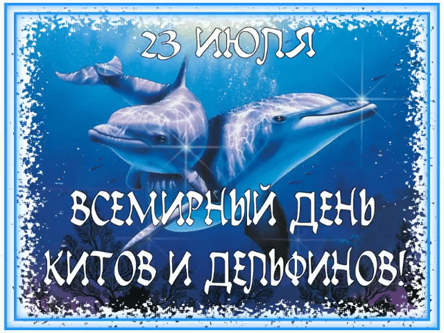 Гиф открытка 23 Июля день китов и дельфинов. Гиф открытка 23 Июля день китов и дельфинов.