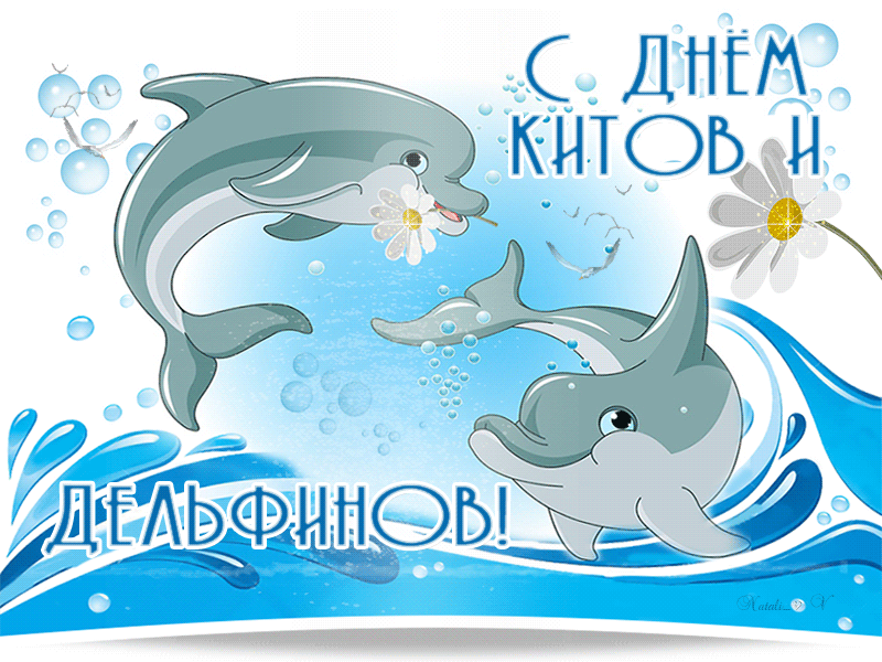 Детские гифки с днём днём китов и дельфинов. Детские гифки с днём днём китов и дельфинов.