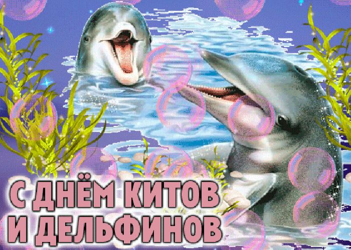 Смешная, блестящая Gif открытка с днём китов и дельфинов.Смешная, блестящая Gif открытка с днём китов и дельфинов. Смешная, блестящая Gif открытка с днём китов и дельфинов.