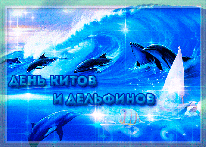 Сияющая гиф картинка день китов и дельфинов 23 Июля. Сияющая гиф картинка день китов и дельфинов 23 Июля.