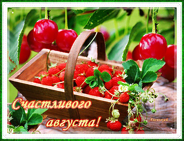 Гифка Счастливого Августа. Гифка Счастливого Августа.