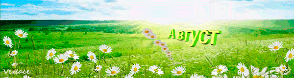 Летняя Gif картинка Август с ромашковым полем. Летняя Gif картинка Август с ромашковым полем.