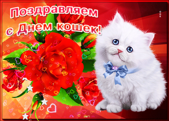 Яркая и красивая гиф открытка с Всемирным днём кошек.