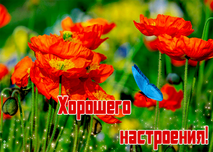 Красивая гиф картинка хорошего настроения