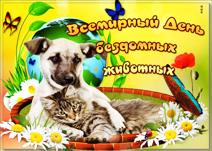 Прикольная гифка всемирный день бездомных животных. Прикольная гифка всемирный день бездомных животных.