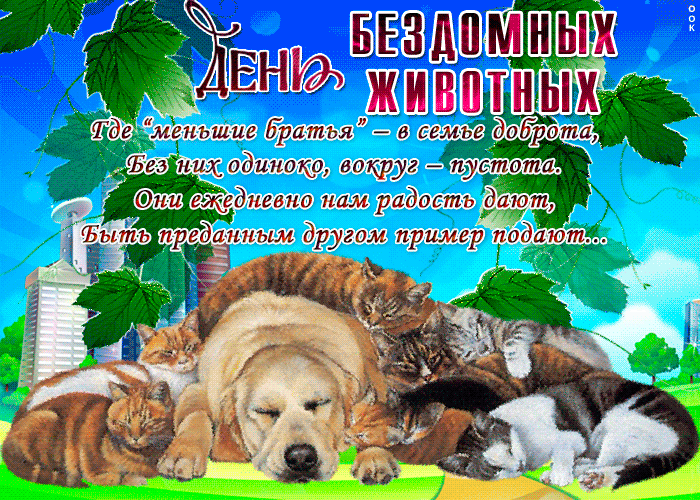 Красивая летняя мерцающая gif картинка на всемирный день бездомных животных. Красивая летняя мерцающая gif картинка на всемирный день бездомных животных.