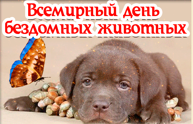 Анимационная блестящая гиф открытка с всемирным днём бездомных животных - третья суббота августа. Анимационная блестящая гиф открытка с всемирным днём бездомных животных - третья суббота августа.