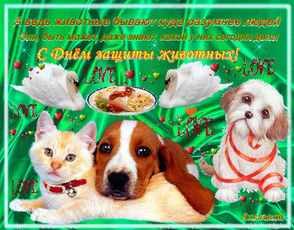Гифки с Всемирным днём бездомных животных с пожеланиями. Гифки с Всемирным днём бездомных животных с пожеланиями.