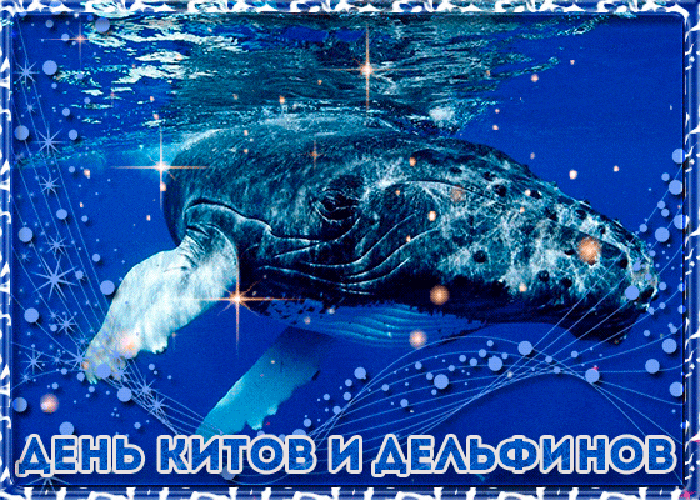 Мерцающая анимированная картинка с днём китов и дельфинов Мерцающая анимированная картинка с днём китов и дельфинов