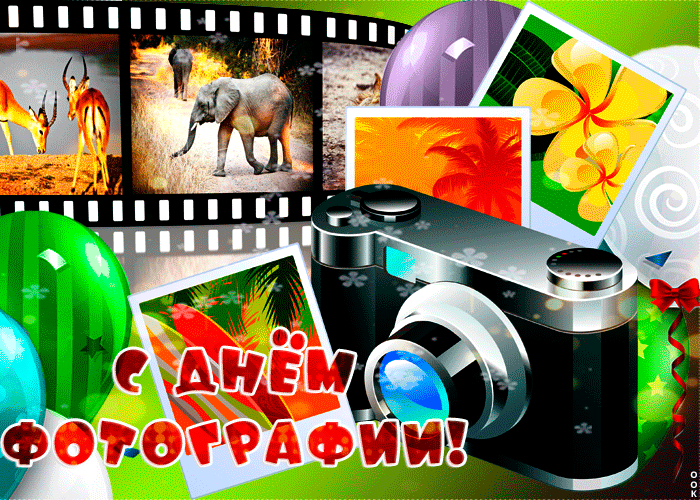 Красивые гифки с всемирным днём фотографии 19 августа.