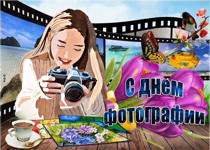 Красочная анимационная гиф открытка с всемирным днём фотографии для девушки.
