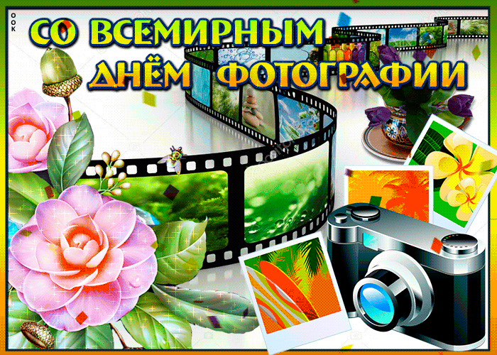 Гифка с всемирным днём фотографии 2024.