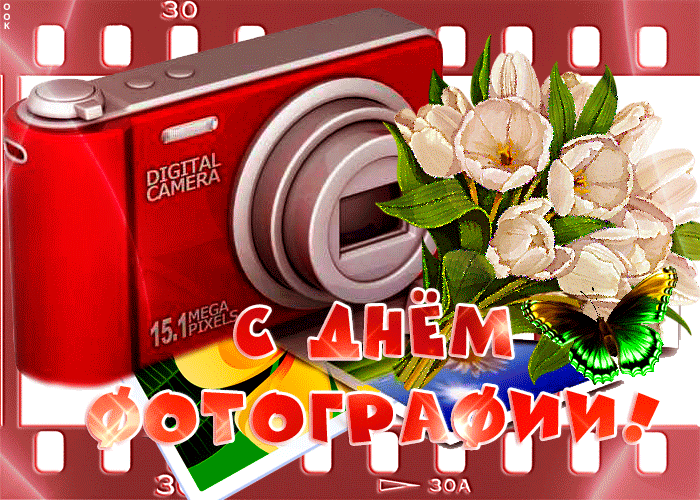 Прикольная гифка с всемирным днём фотографии.
