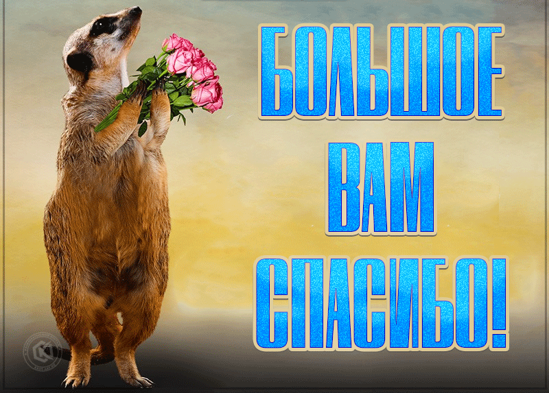 Красивая gif картинка большое вам спасибо