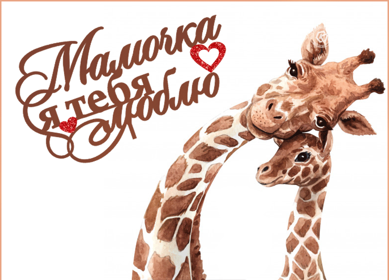 Гифка мамочка я тебя люблю
