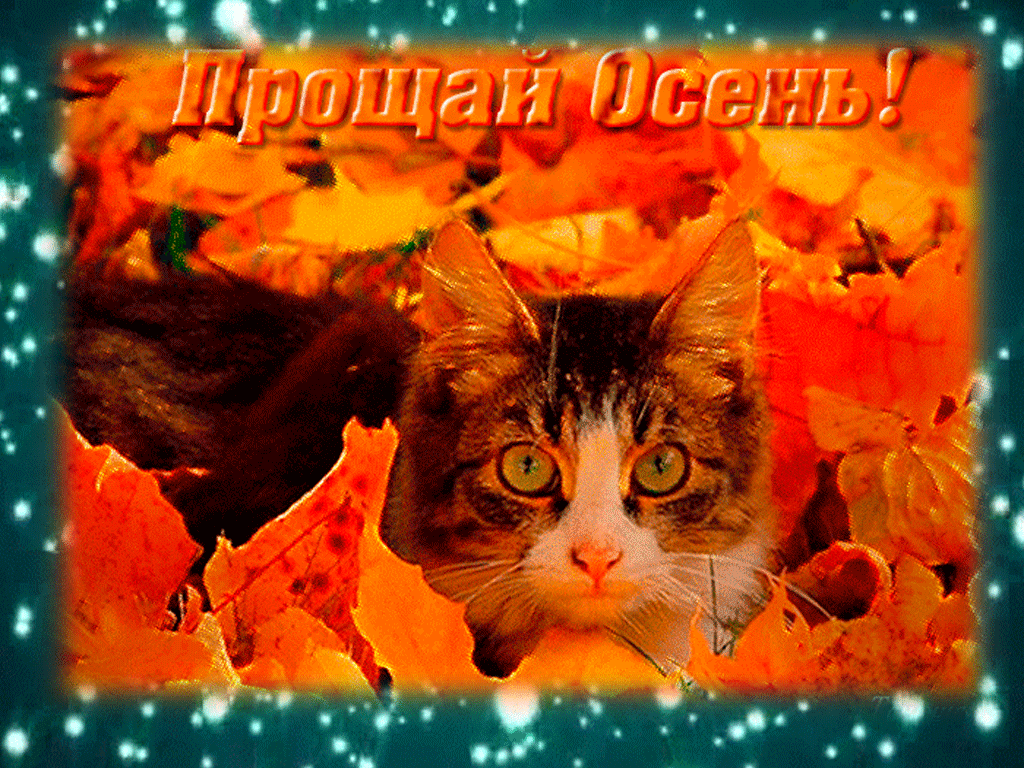 Гифка с последними днями осени!