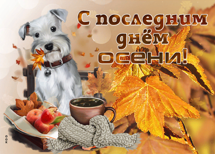 Красивая Гифка опал последний лист, Так голо и пустынно!