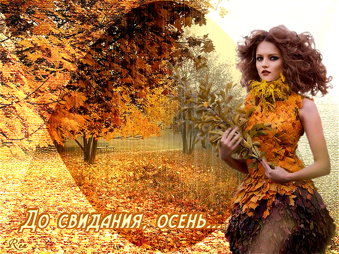 Gif с последнем осеннем месяцем