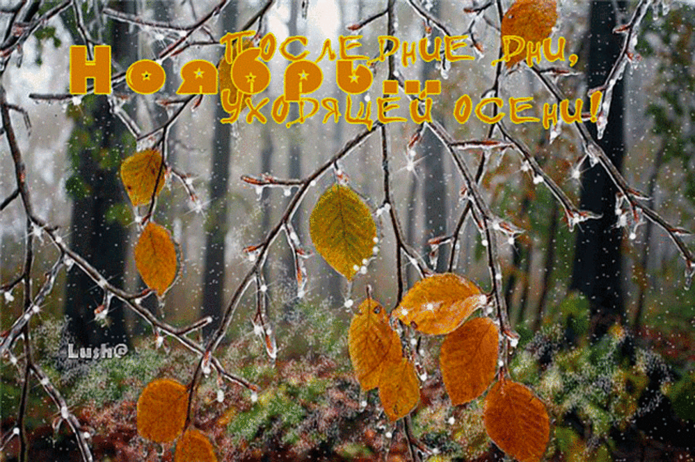 Гифка осень прощай